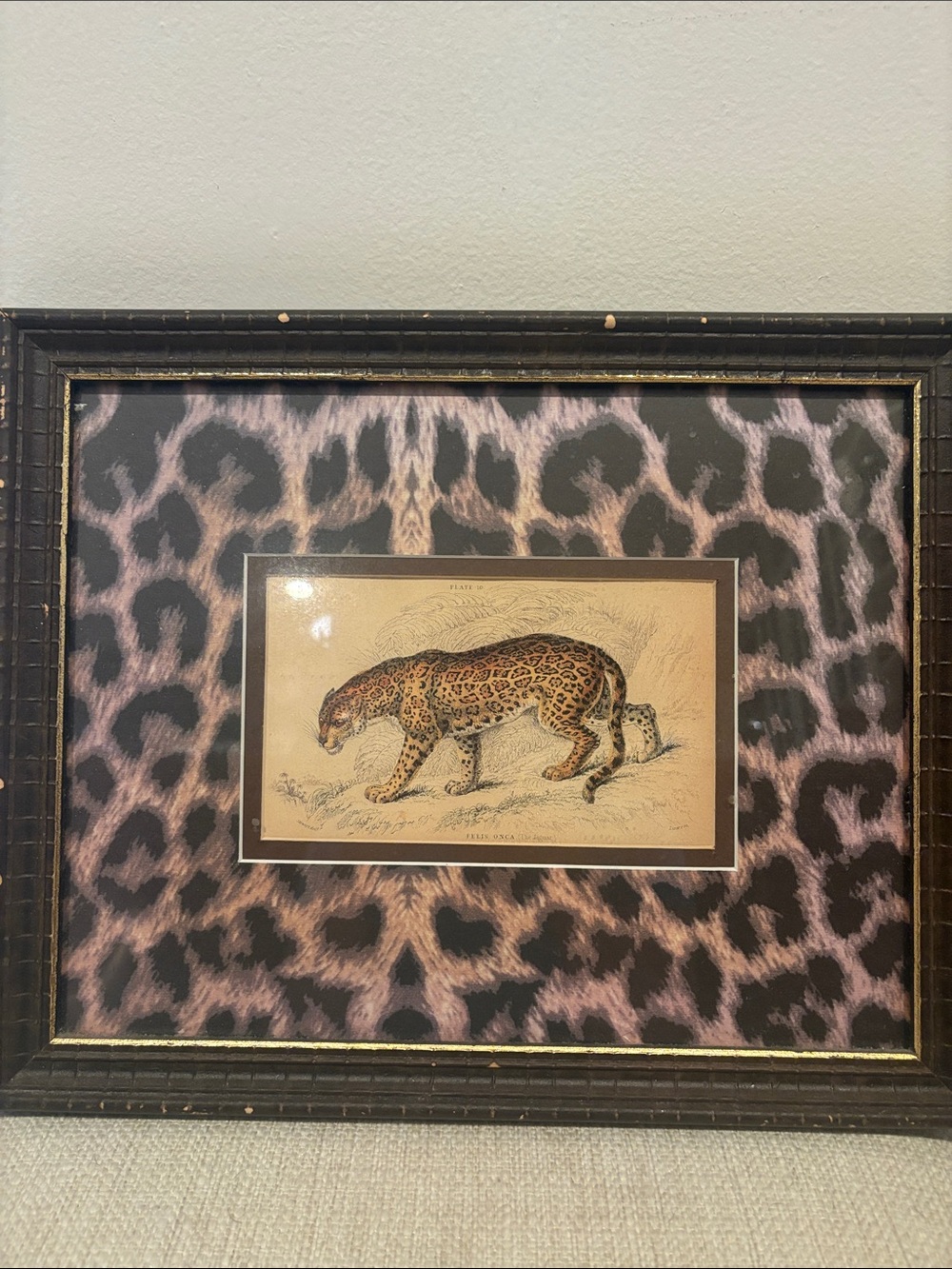 Pair: Vintage Jaguar Felis Onca Book Plate Lithographs Framed Art Print Big Cats